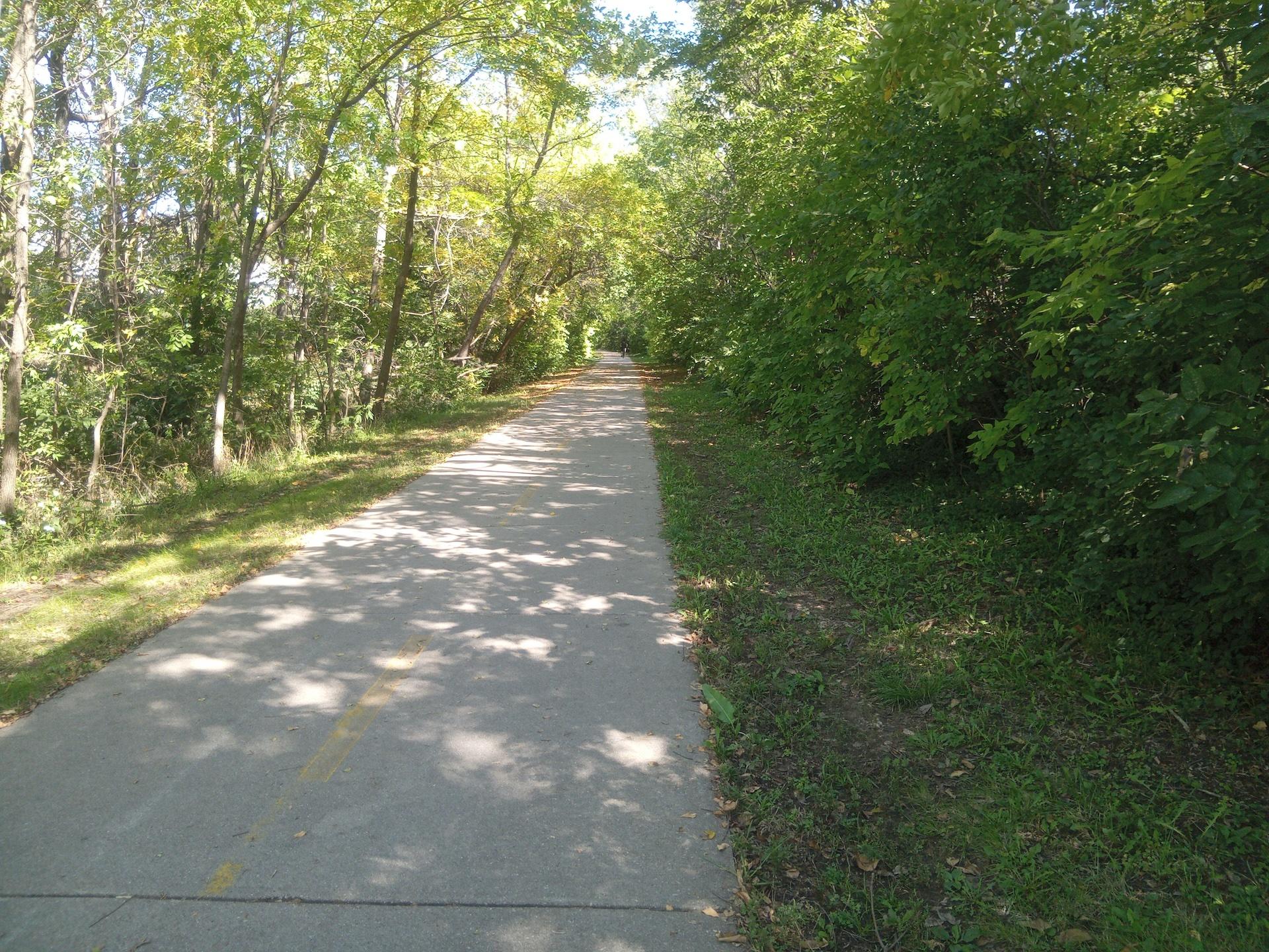 Morning Walk